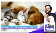 No Retiro Nada: Nueva Ley de perros y gatos 