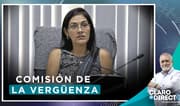 AAR sobre la Comisión de Venecia: “Deben haber pensando que los llevaron al zoológico”